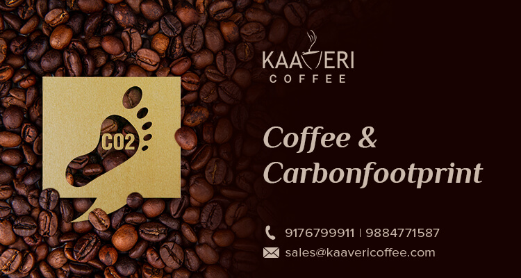 07 - Coffee & Carbonfootprint