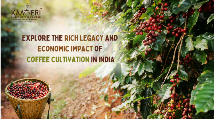 coffee Production in India